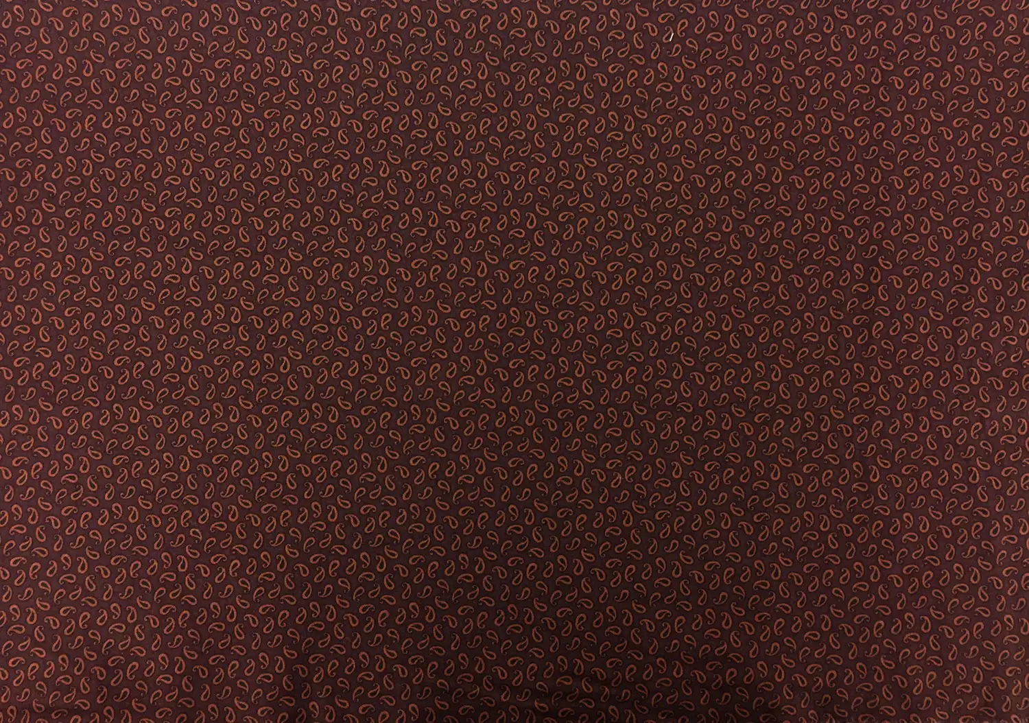 Cotton Print With Paisley Drop Pattern0