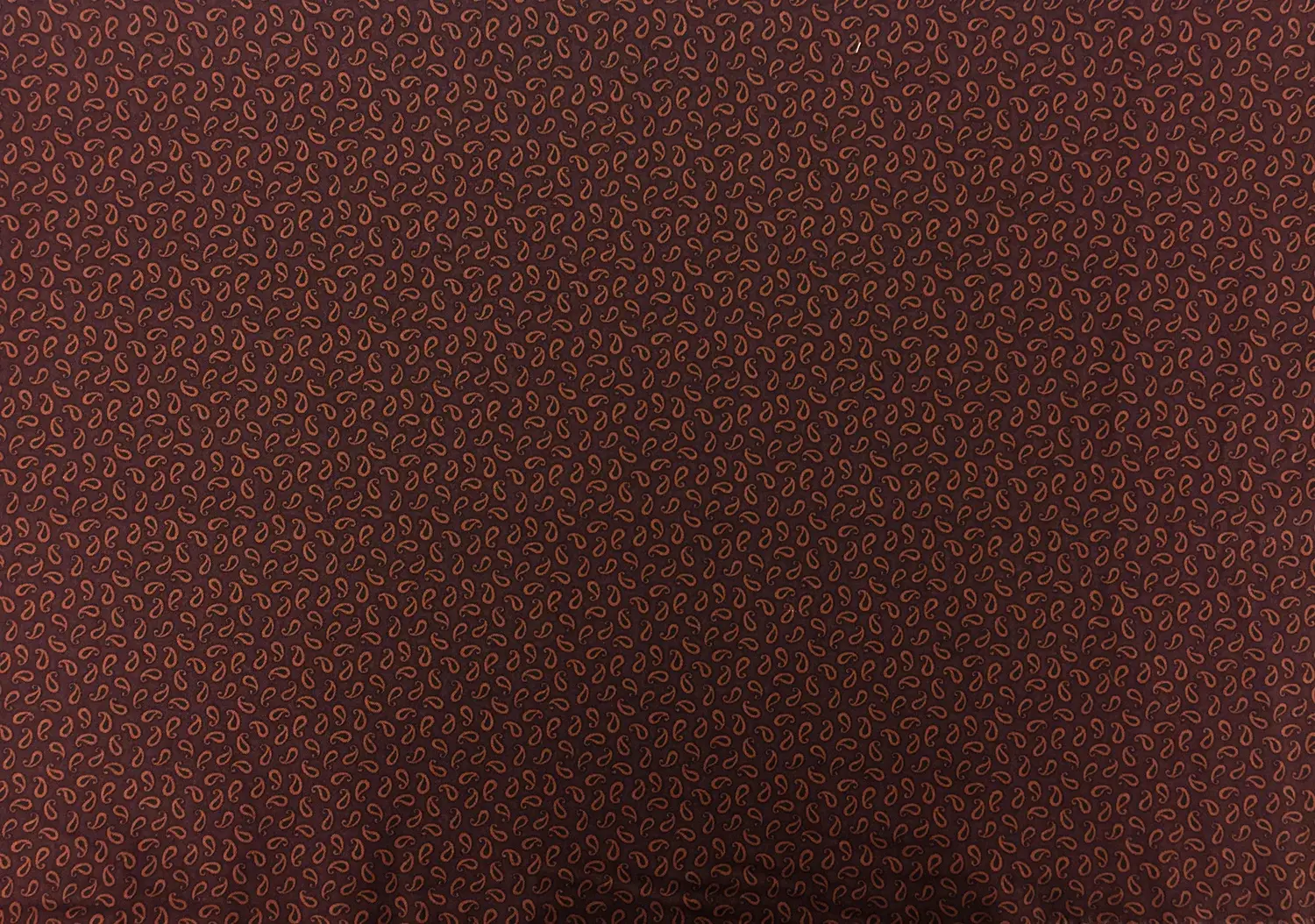Cotton Print With Paisley Drop Pattern0