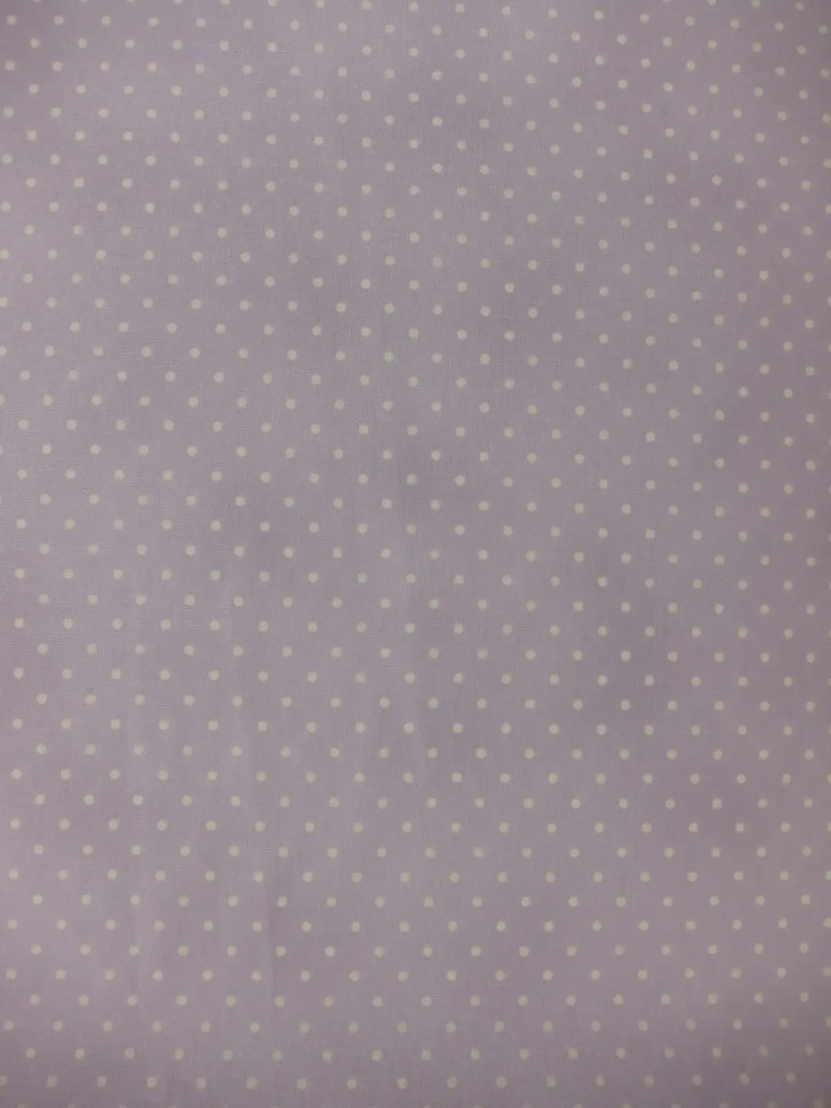 Cotton Broadcloth Print0