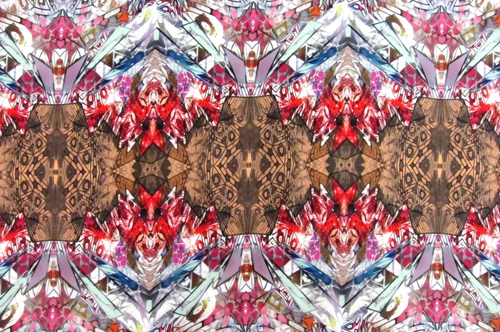 Printed Silk Charmeuse0