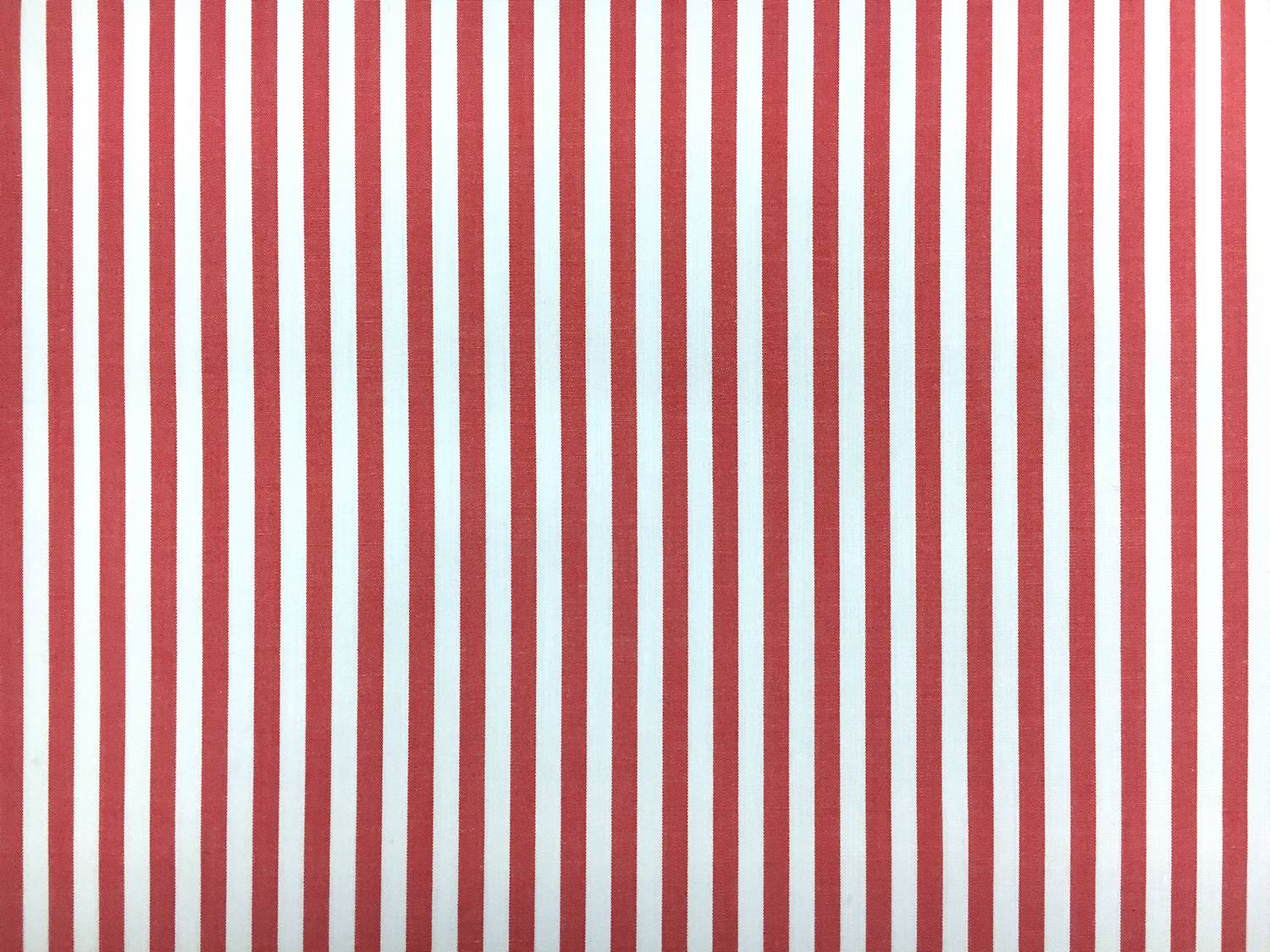 Pima Cotton Shirting Stripe in Red0