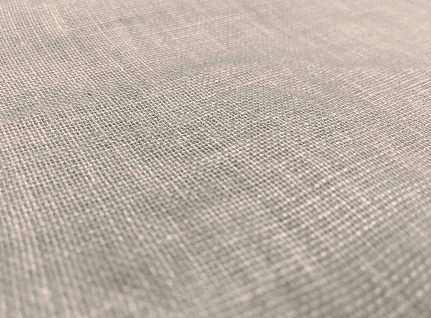 Metallic Coated Linen Mesh in Silver Glam2