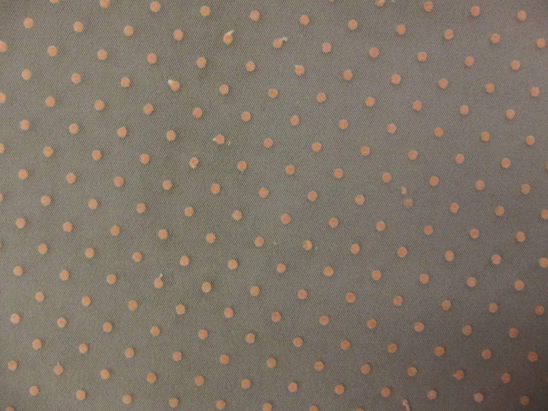 Flocking on Tulle1