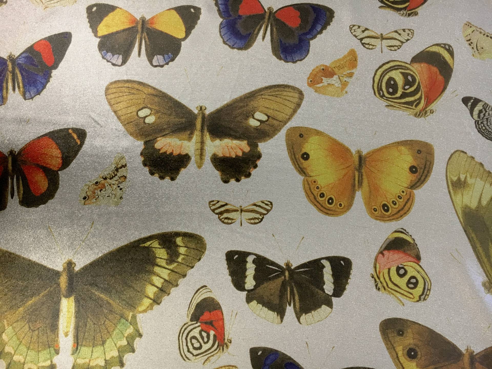 Printed Silk and Poly Blend Crepe Lamé with Various Butterflies0