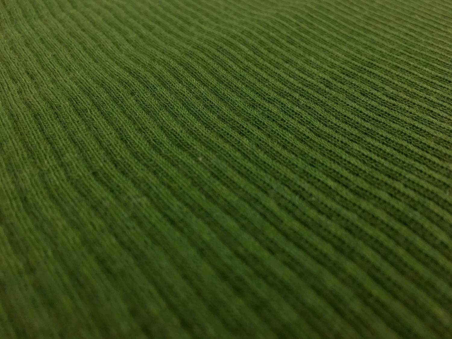Virgin Wool Rib Knit in Moss2