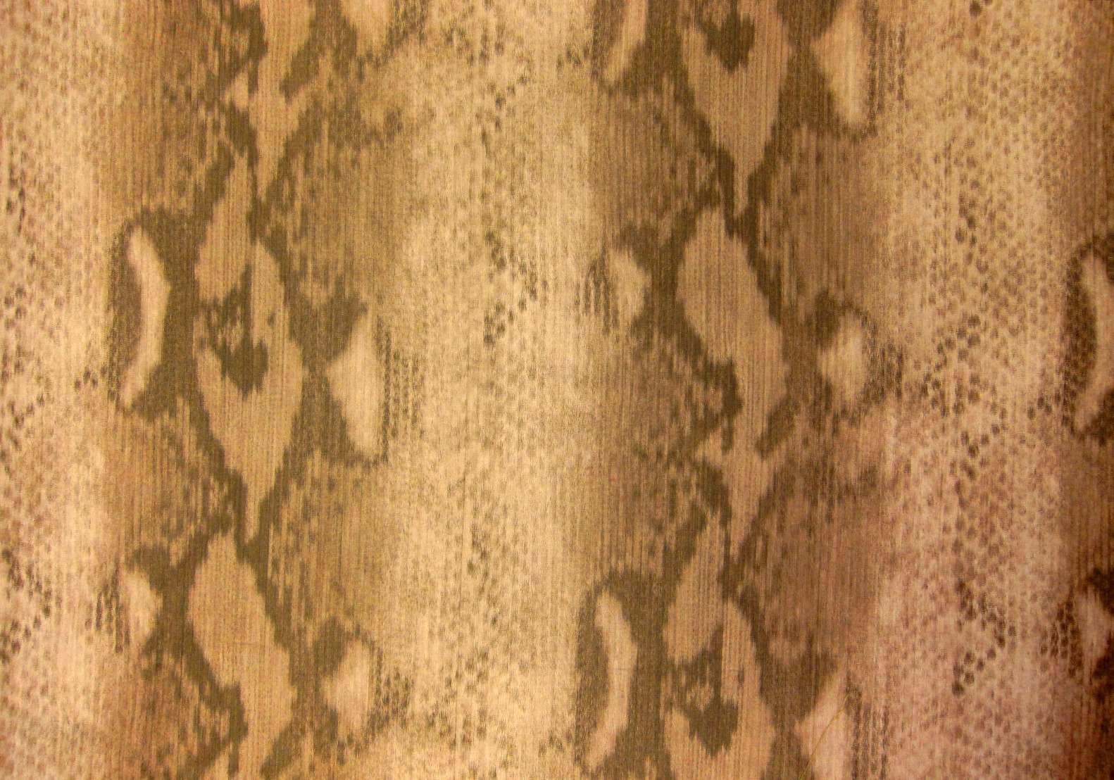 Warp Printed Taffeta0