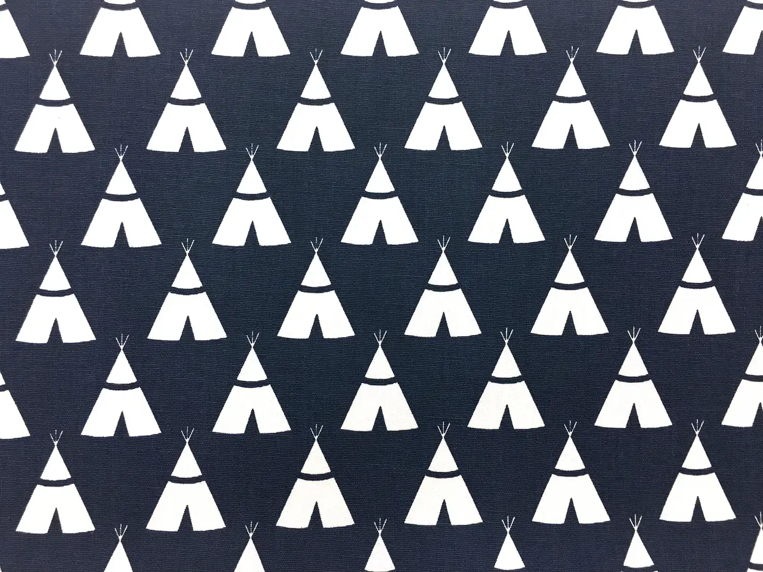 Cotton Canvas With Teepee Print0