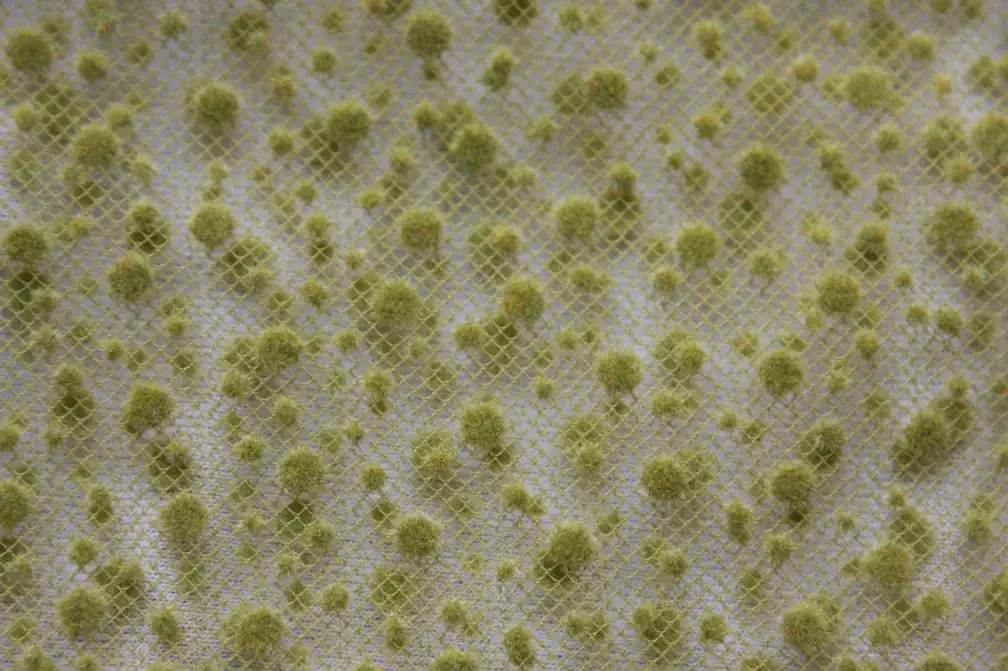 Flocking on Tulle3