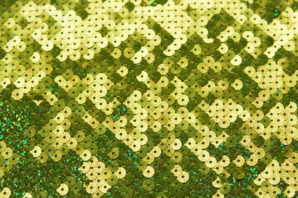 Sequins on Jersey2