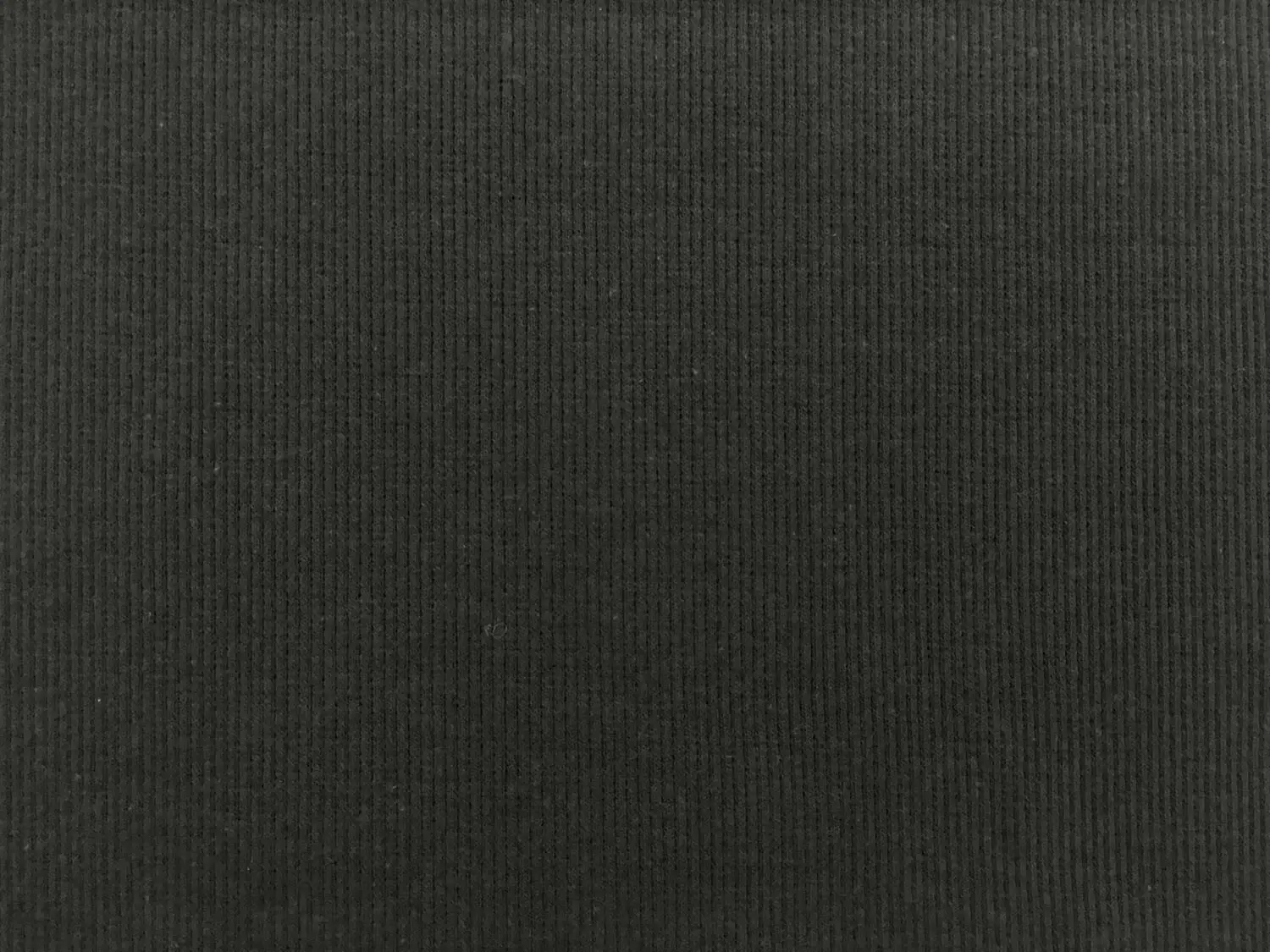 Japanese Cotton Rib Knit in Slate0
