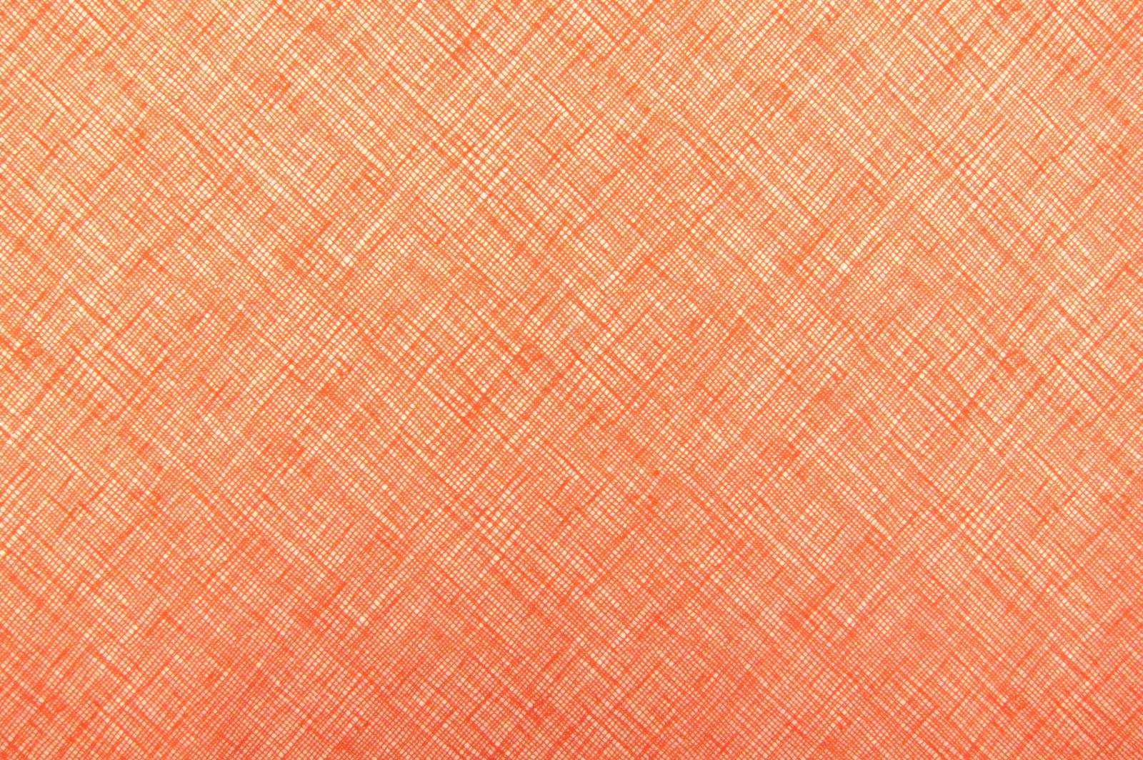 Cotton Broadcloth Print0