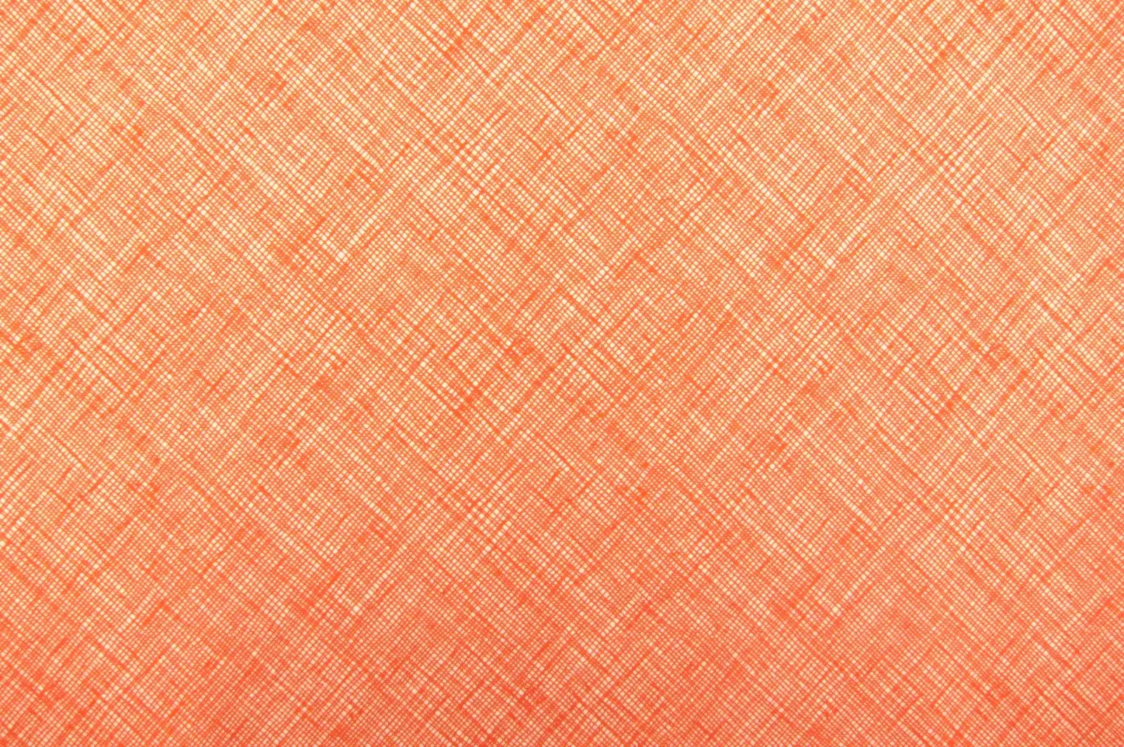 Cotton Broadcloth Print0