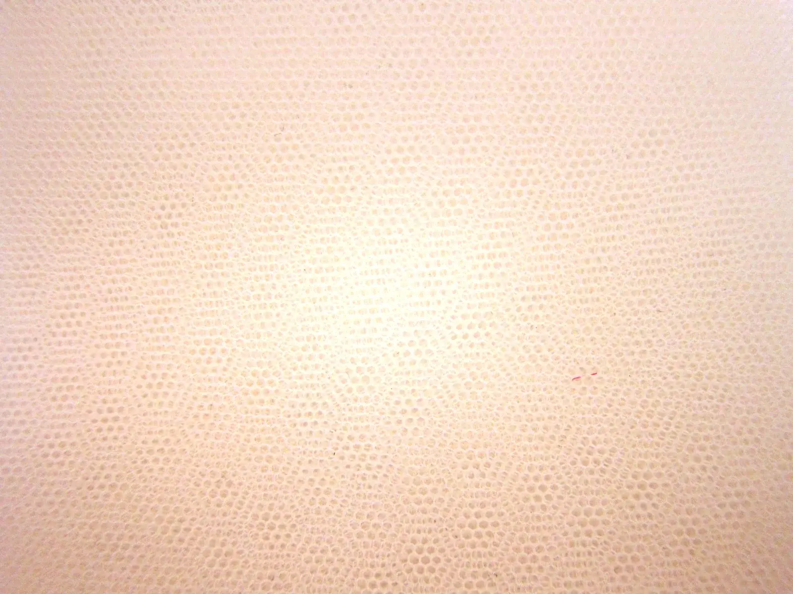 Italian Nylon Tulle in Salmone0