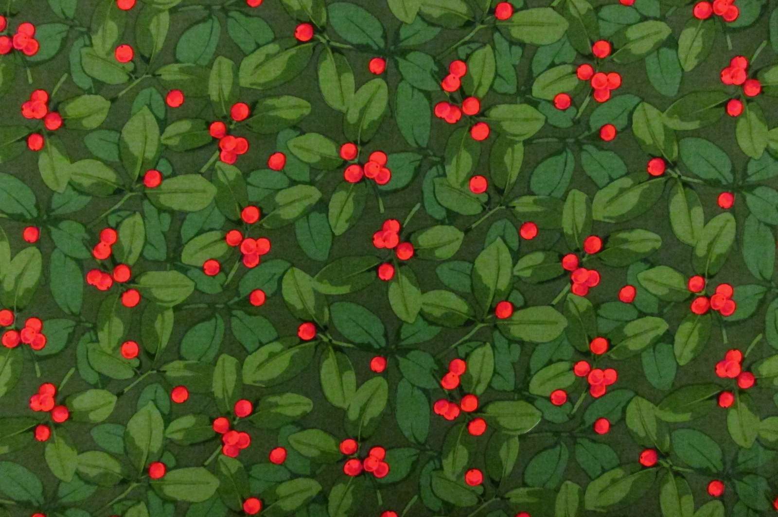 Cotton Broadcloth Print0