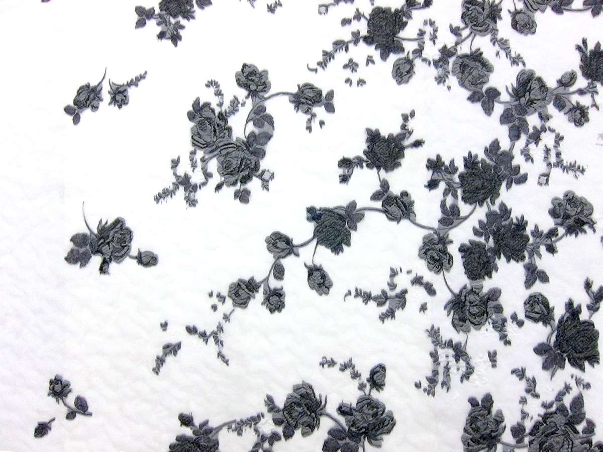 Silk Blend Organza Cloqué Panel0