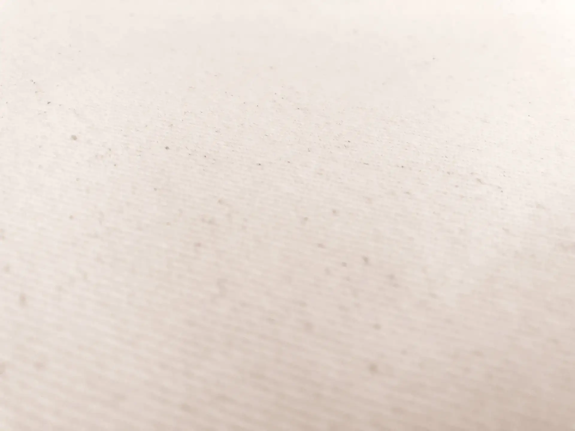 12oz Brushed Cotton Denim in Natural0