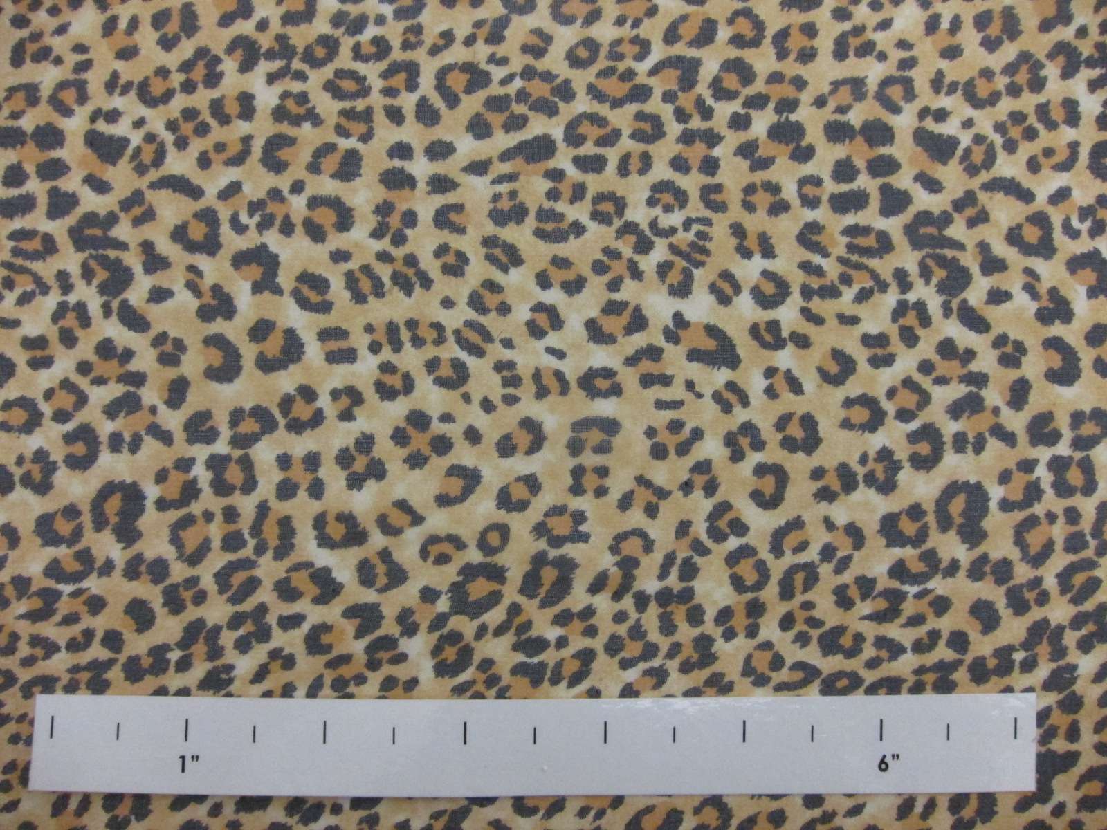 Printed Silk Chiffon