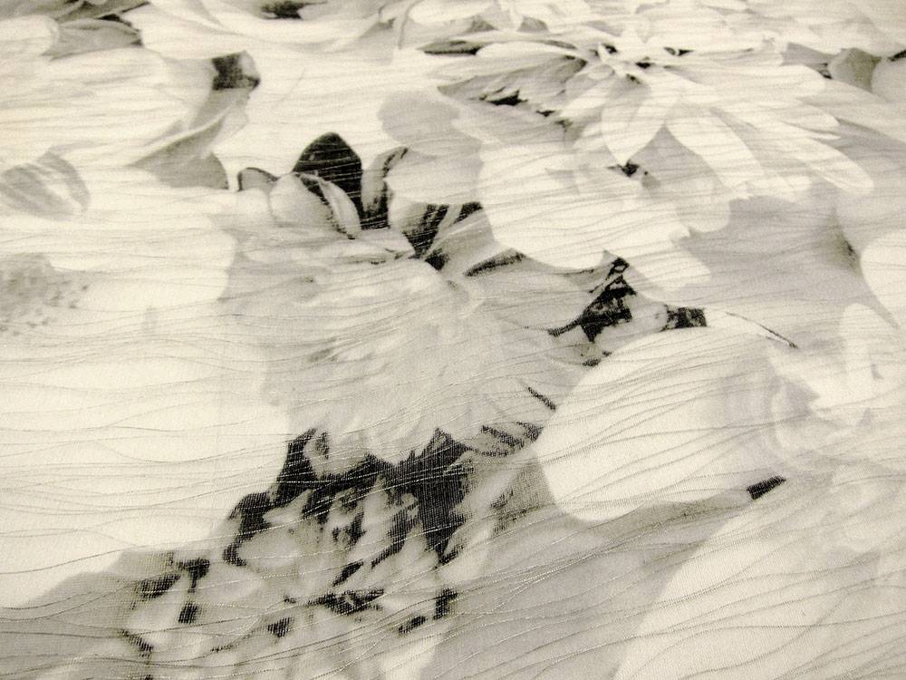 Silk Blend Metallic Double Layer Printed Organza2