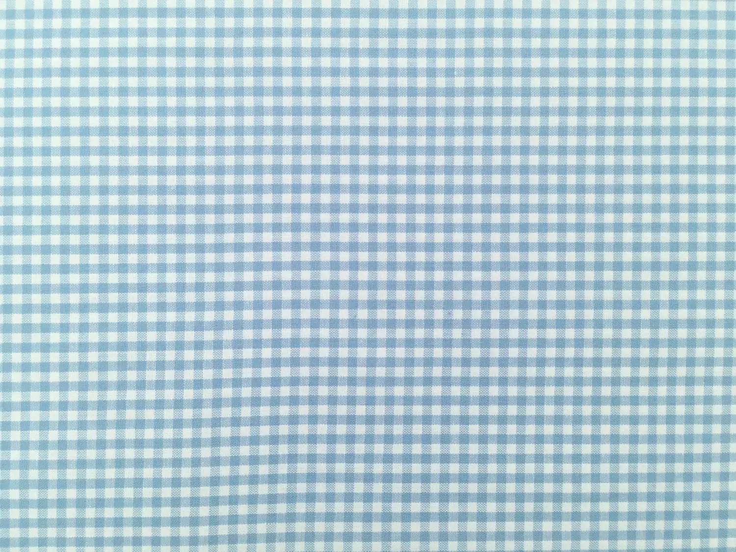 Carolina Cotton Gingham in Pond0