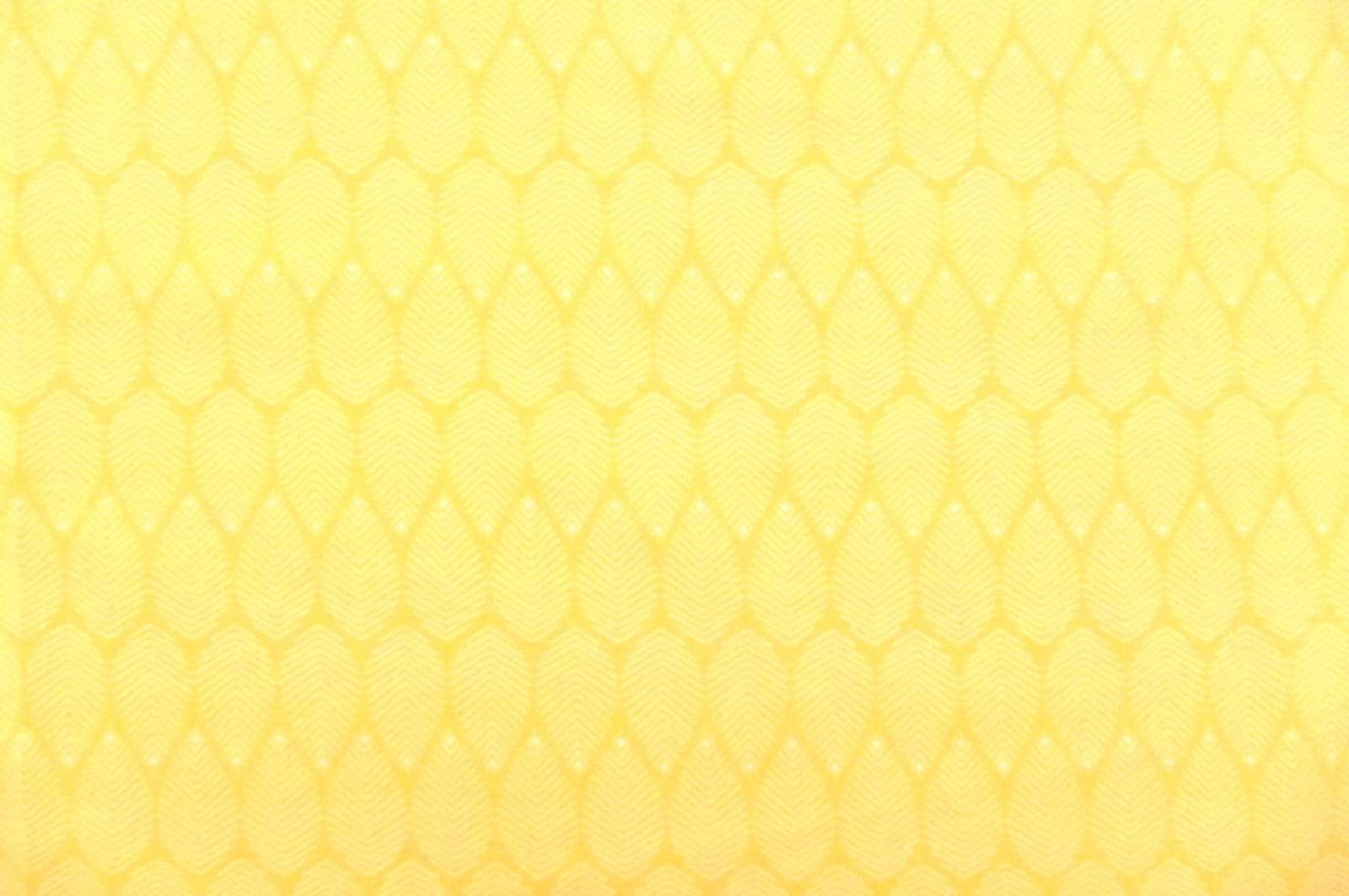 Cotton Broadcloth Print0