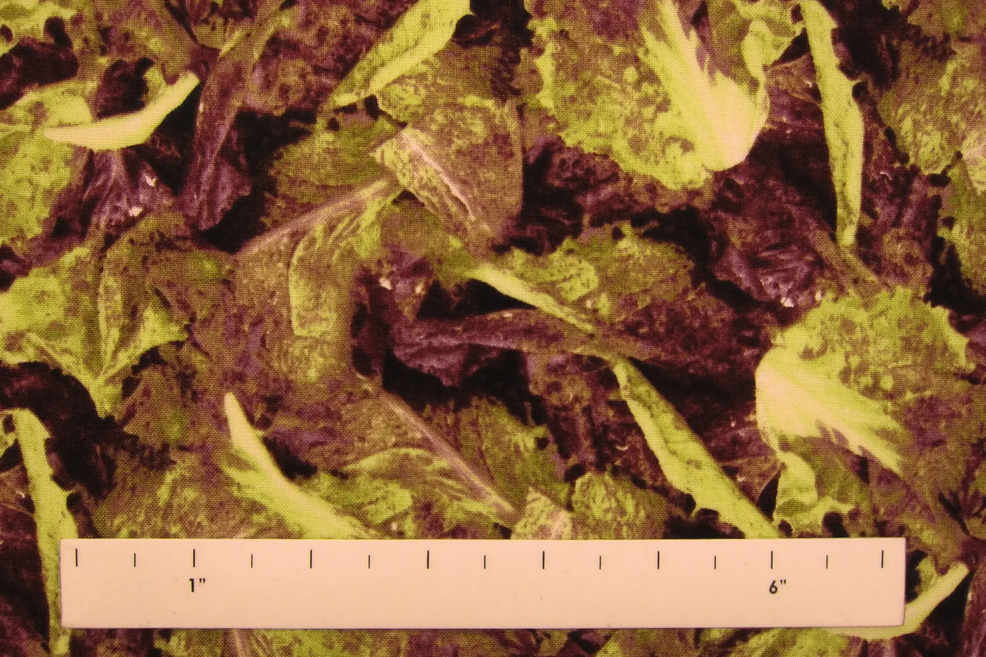 Cotton Broadcloth Print1