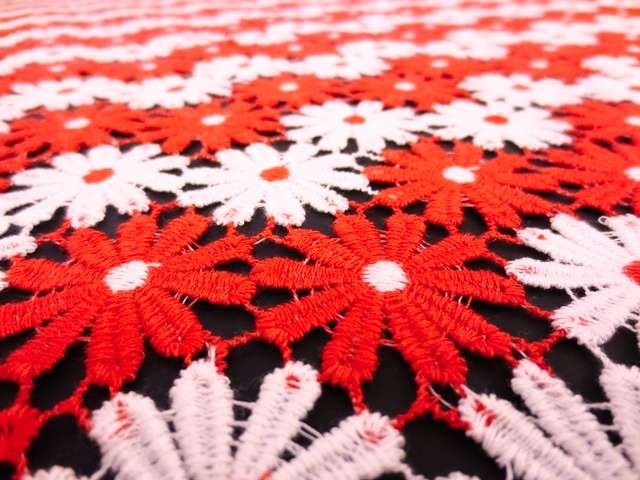 Guipure Lace 1