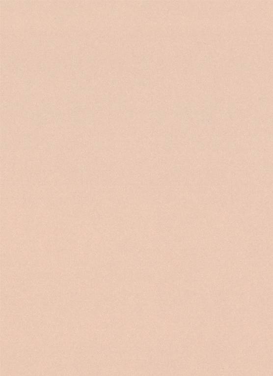 Japanese Rayon Bemberg Lining in Nude