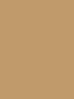 Japanese Rayon Bemberg Lining in Camel