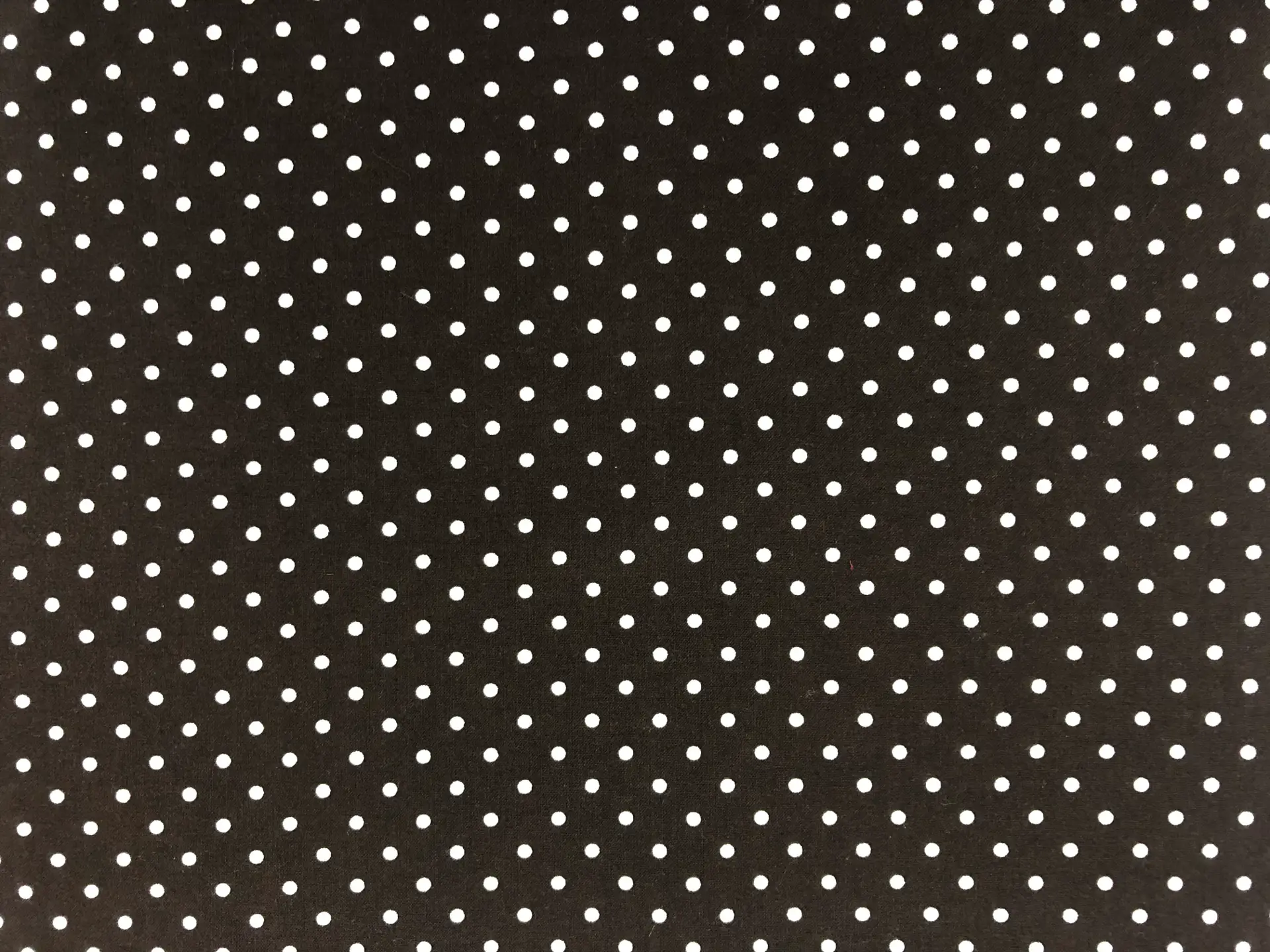 Dot1