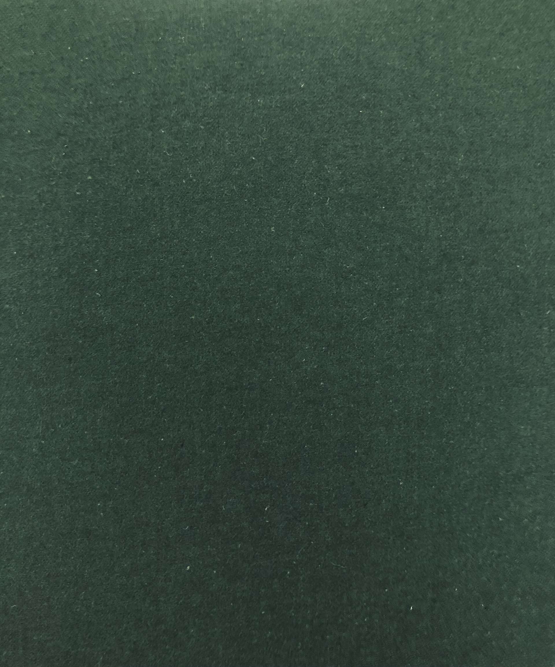 Forest1