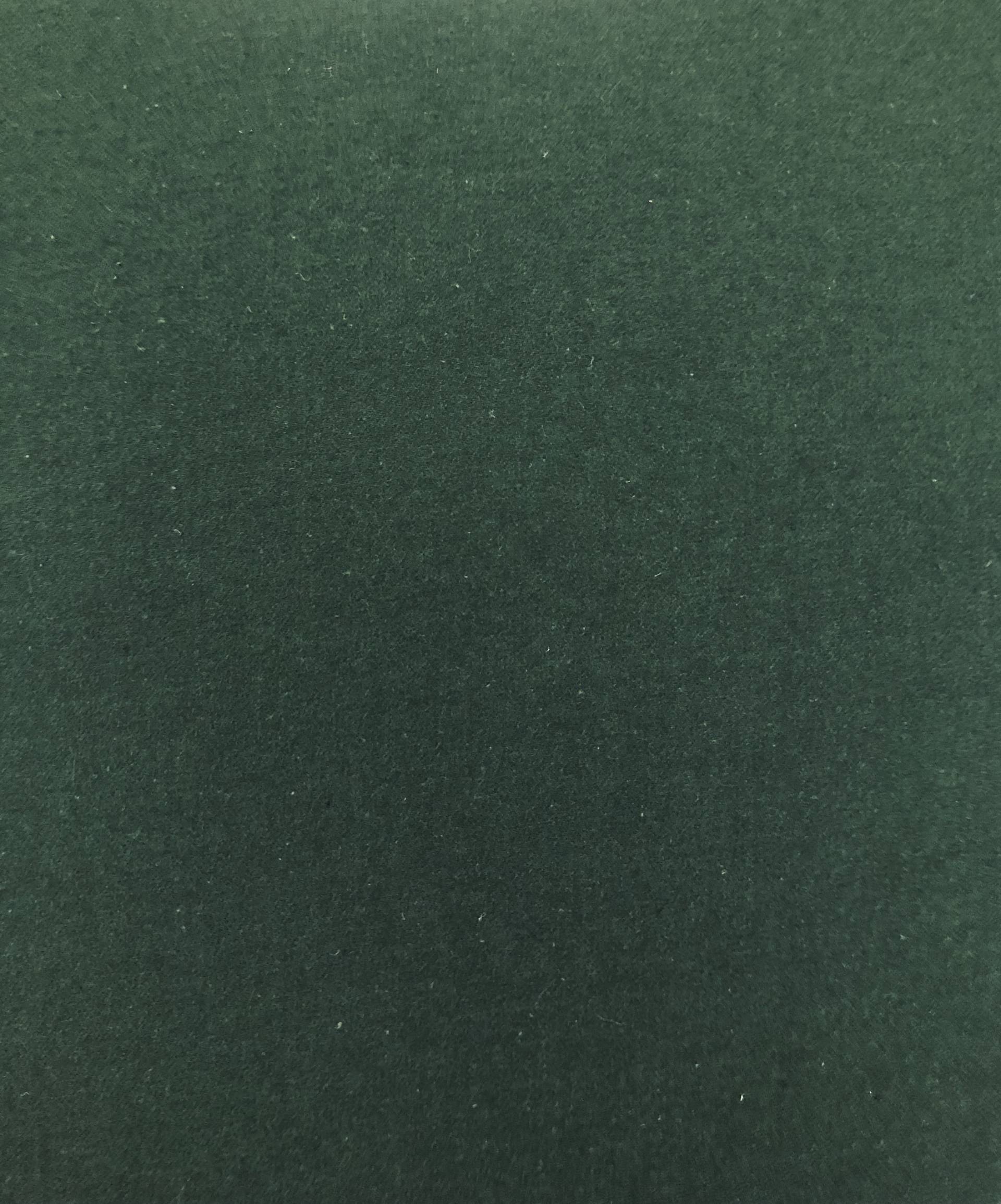Forest1