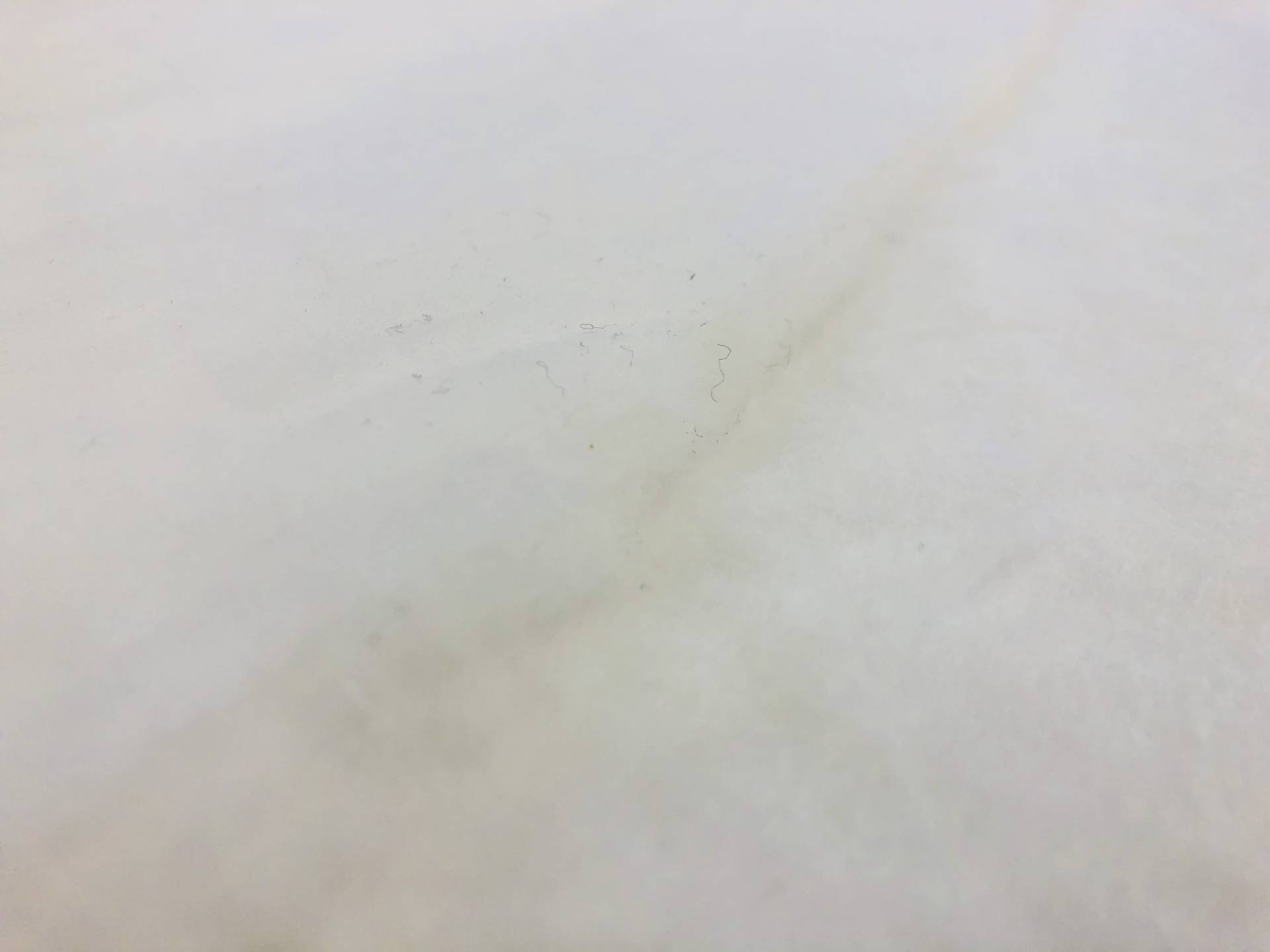 Interlining2
