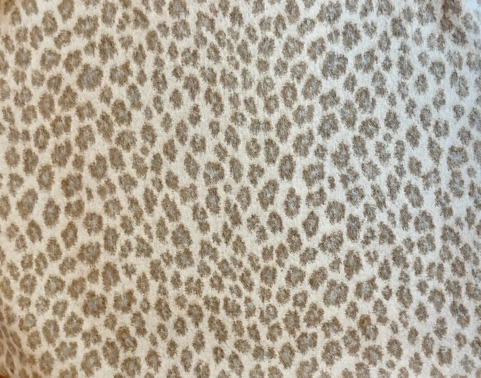 Animal1