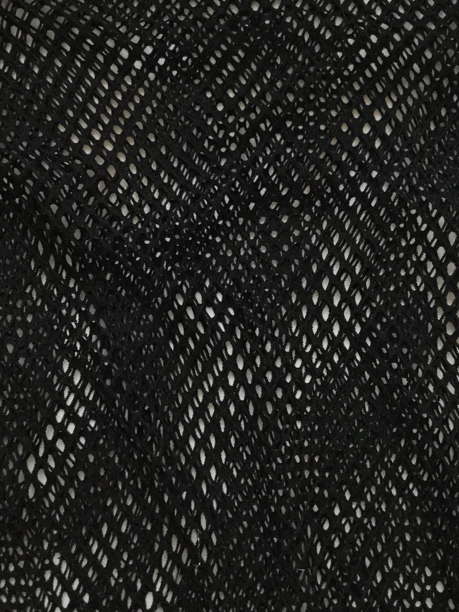 Polyester Fishnet in Black