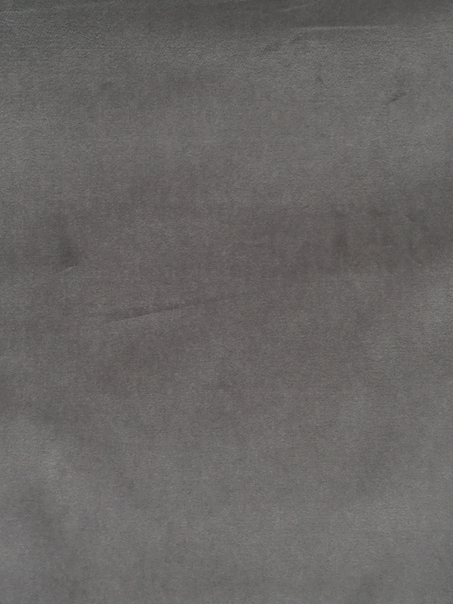 Pure Cotton Velvet in Silver Cloud