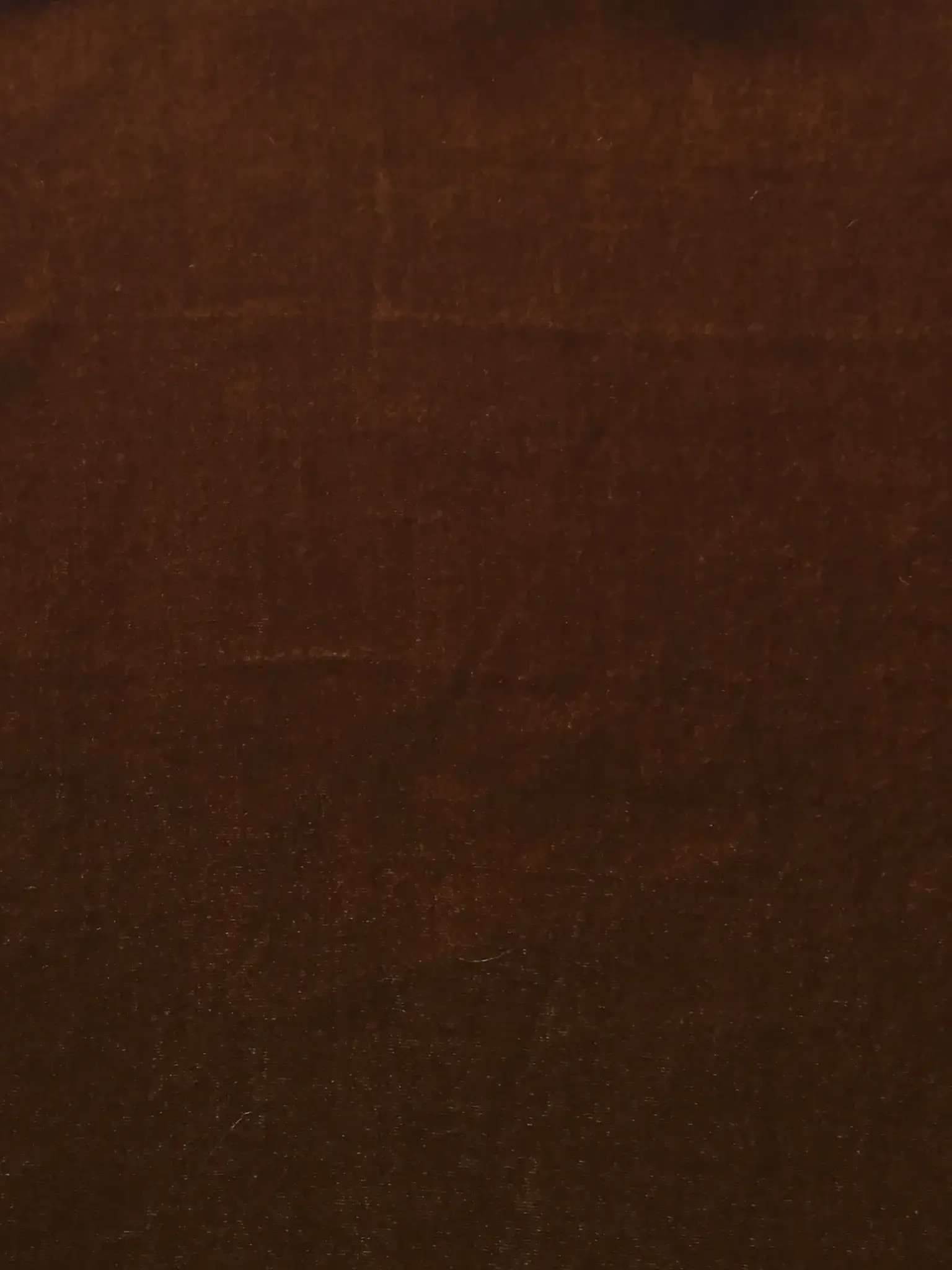 Silk Rayon Velvet in Deep Amber