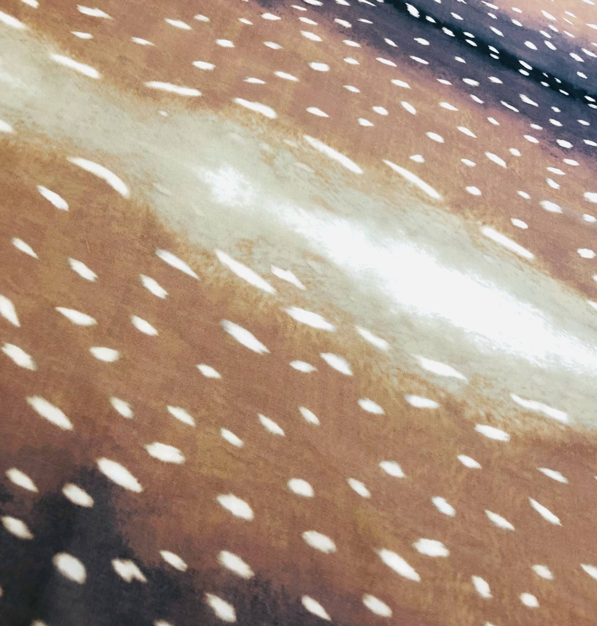 Printed Silk Chiffon