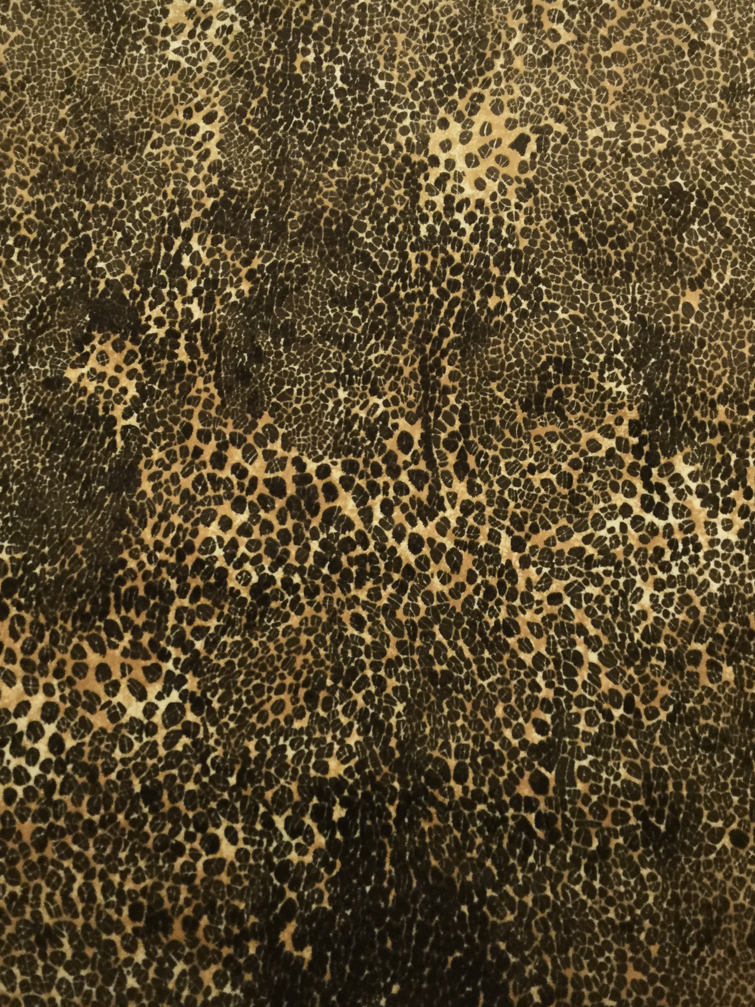 Cotton Velvet in Cheetah
