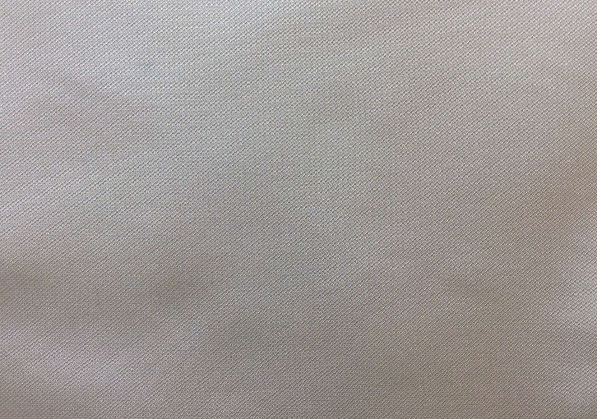 Pure Silk Sharkskin in Ivory