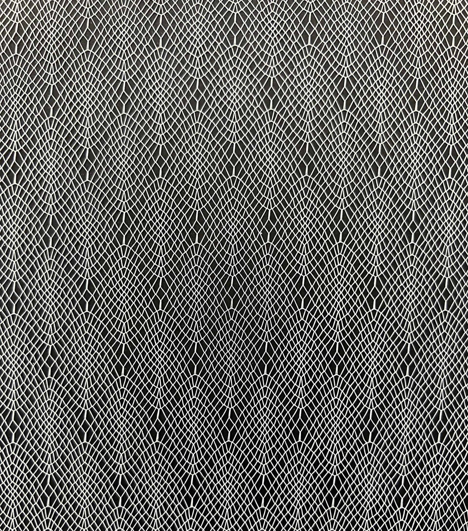 Novelty Illusion in Off White