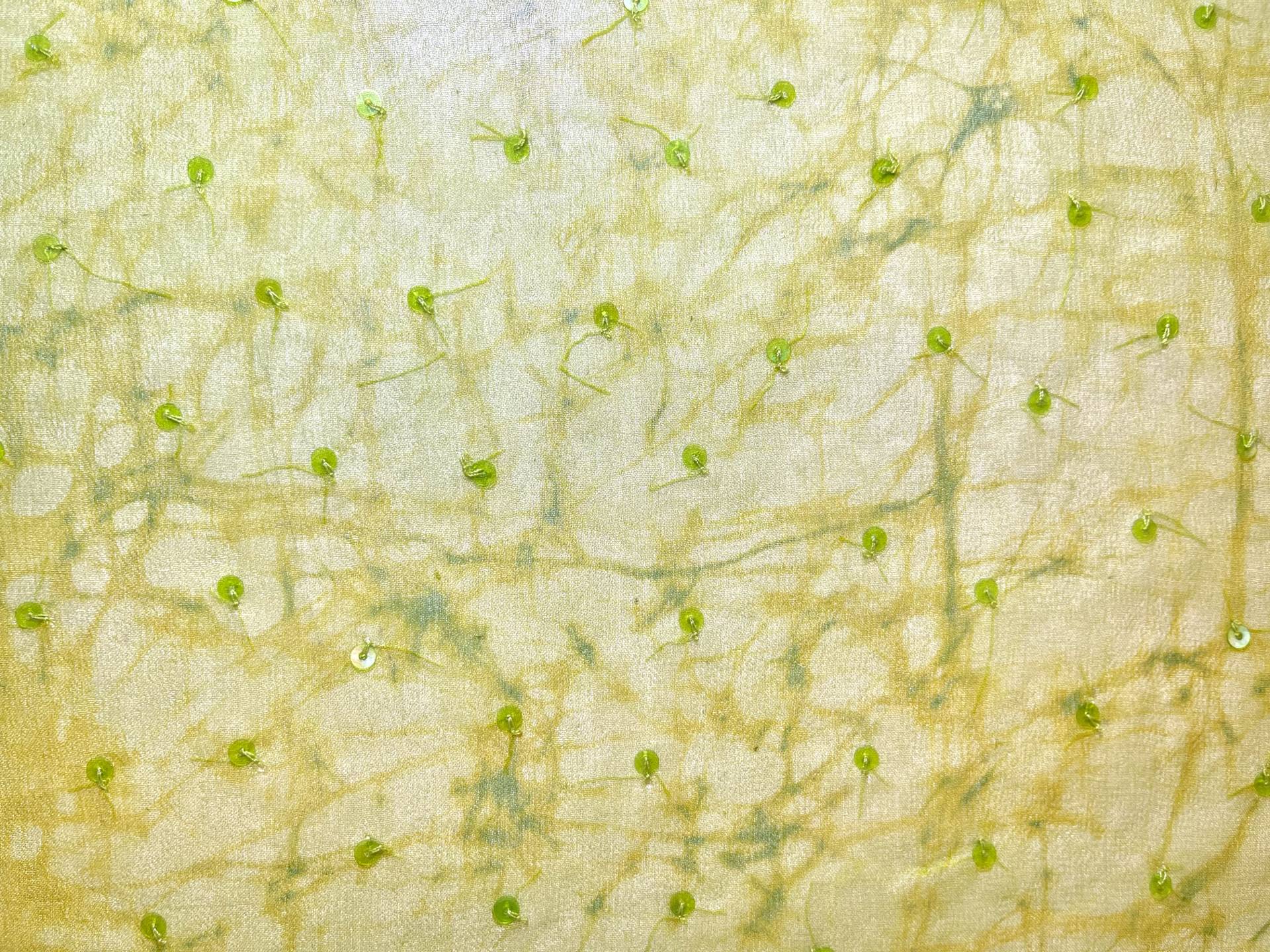Scnp Sequins on Silk Chiffon