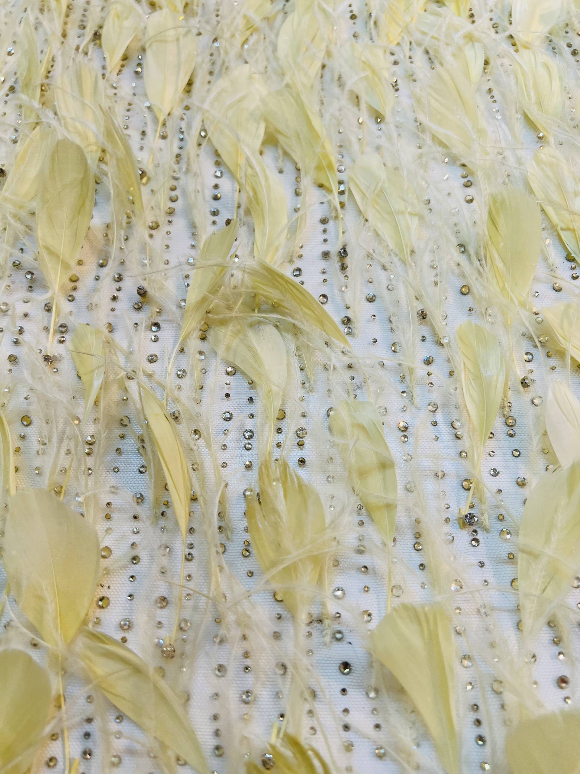 Couture Crystal with Striped Coq and Ostrich Feather in Yellow