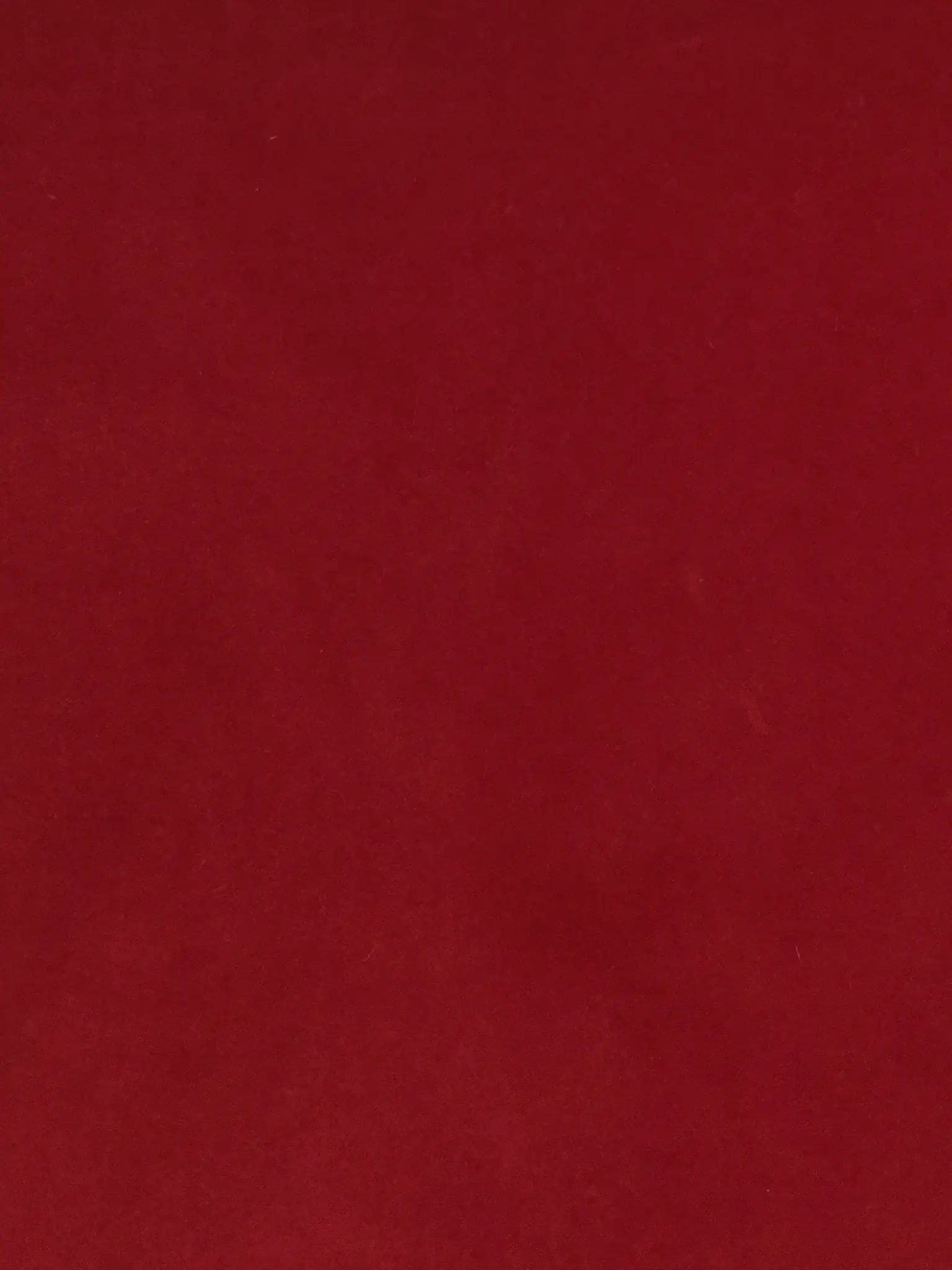 Pure Cotton Velvet in Devil Red
