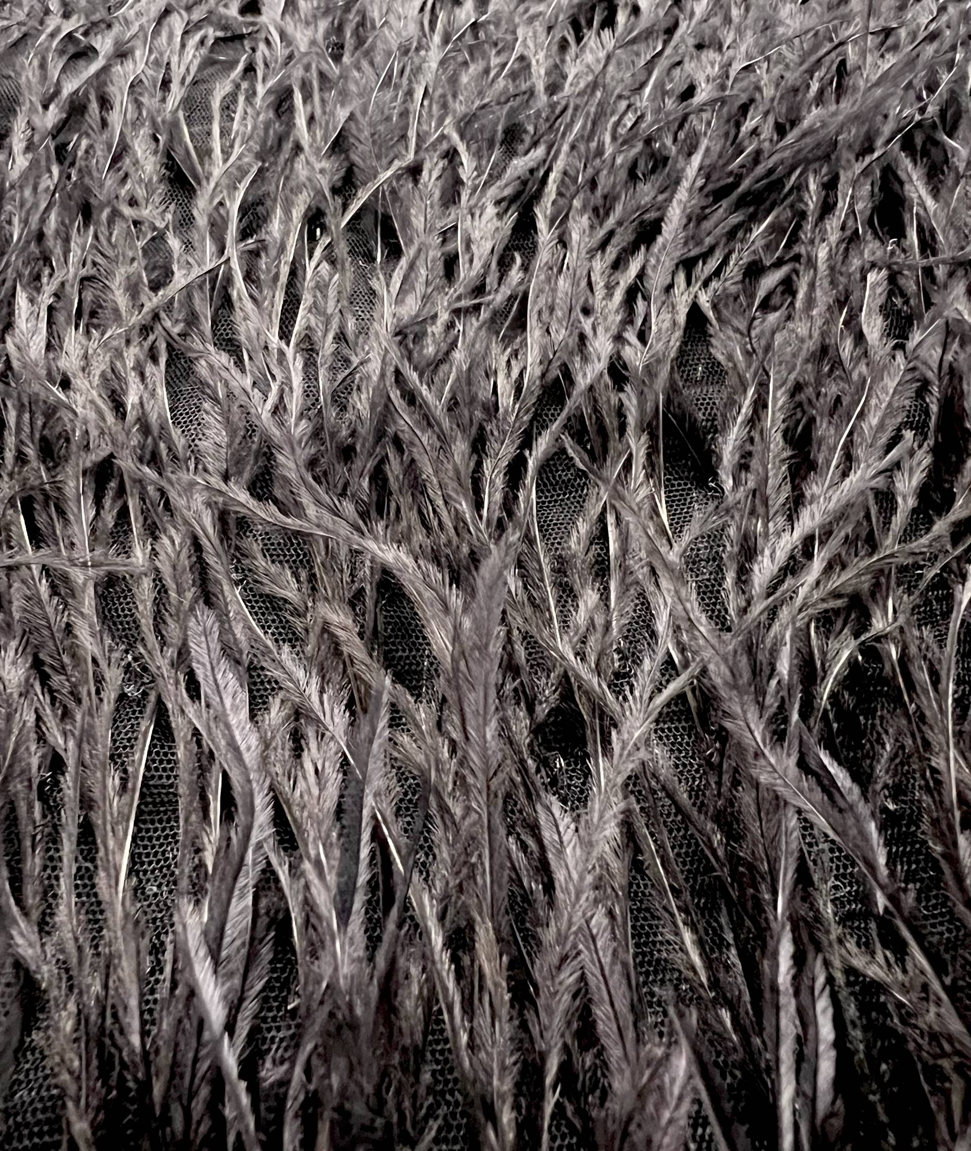 Hand Applied Ostrich Feather in Black