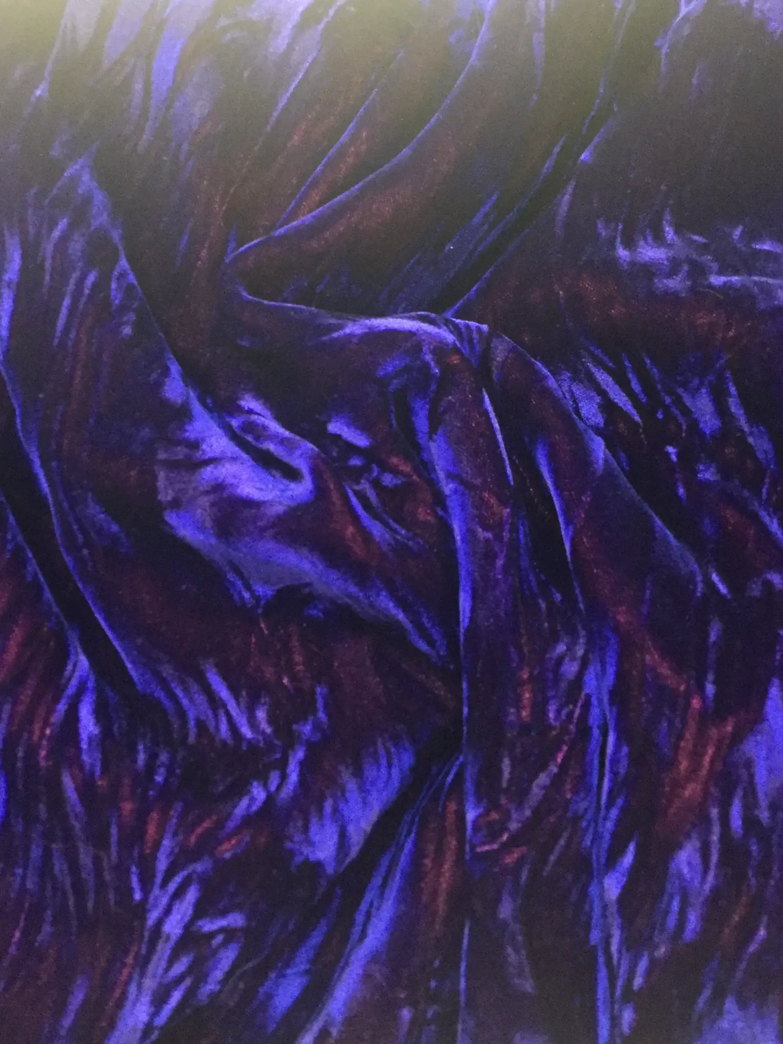 Iridescent Crushed Rayon Velvet in Blue/Red