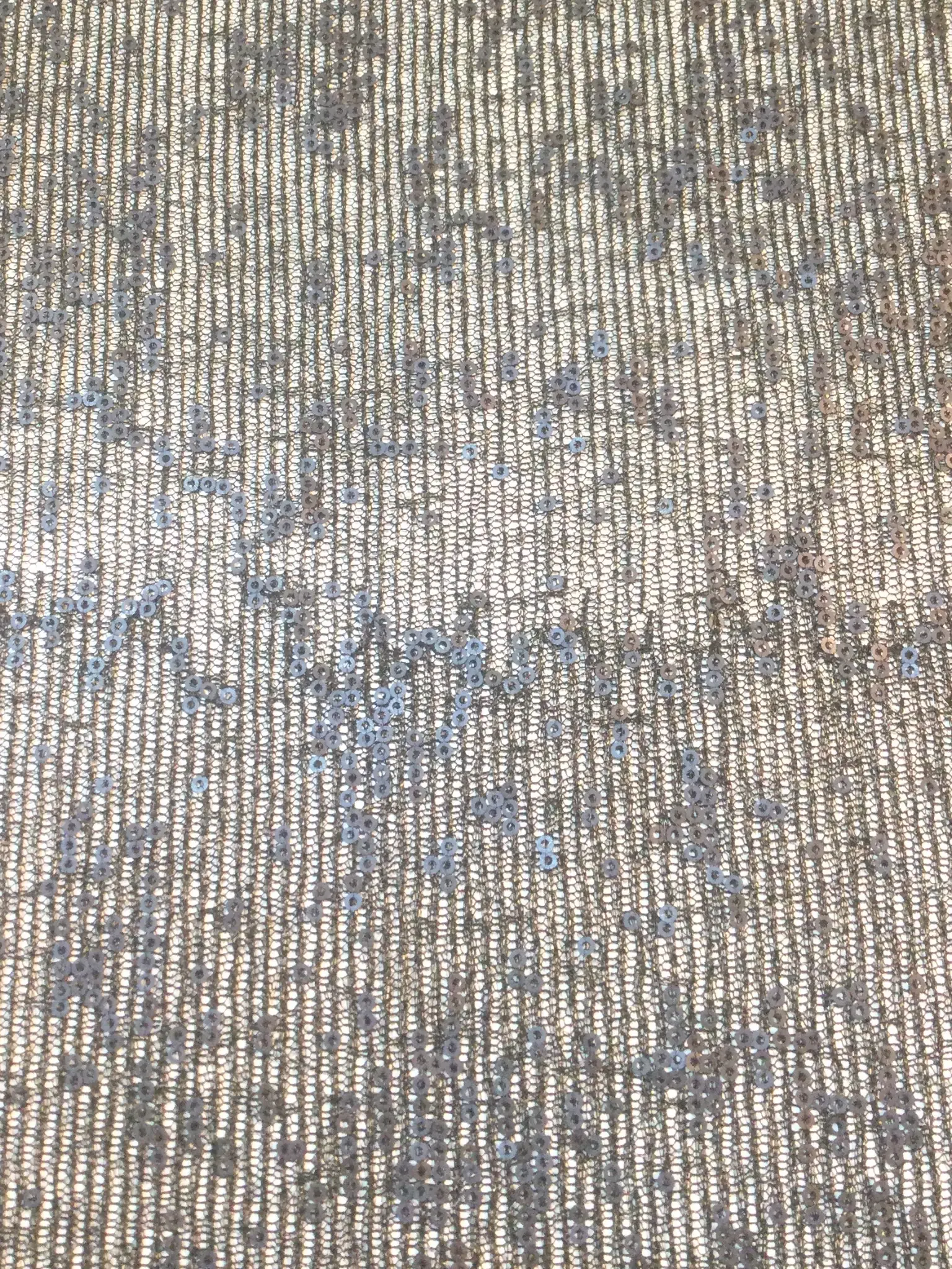 Sequins on Metallic Lace