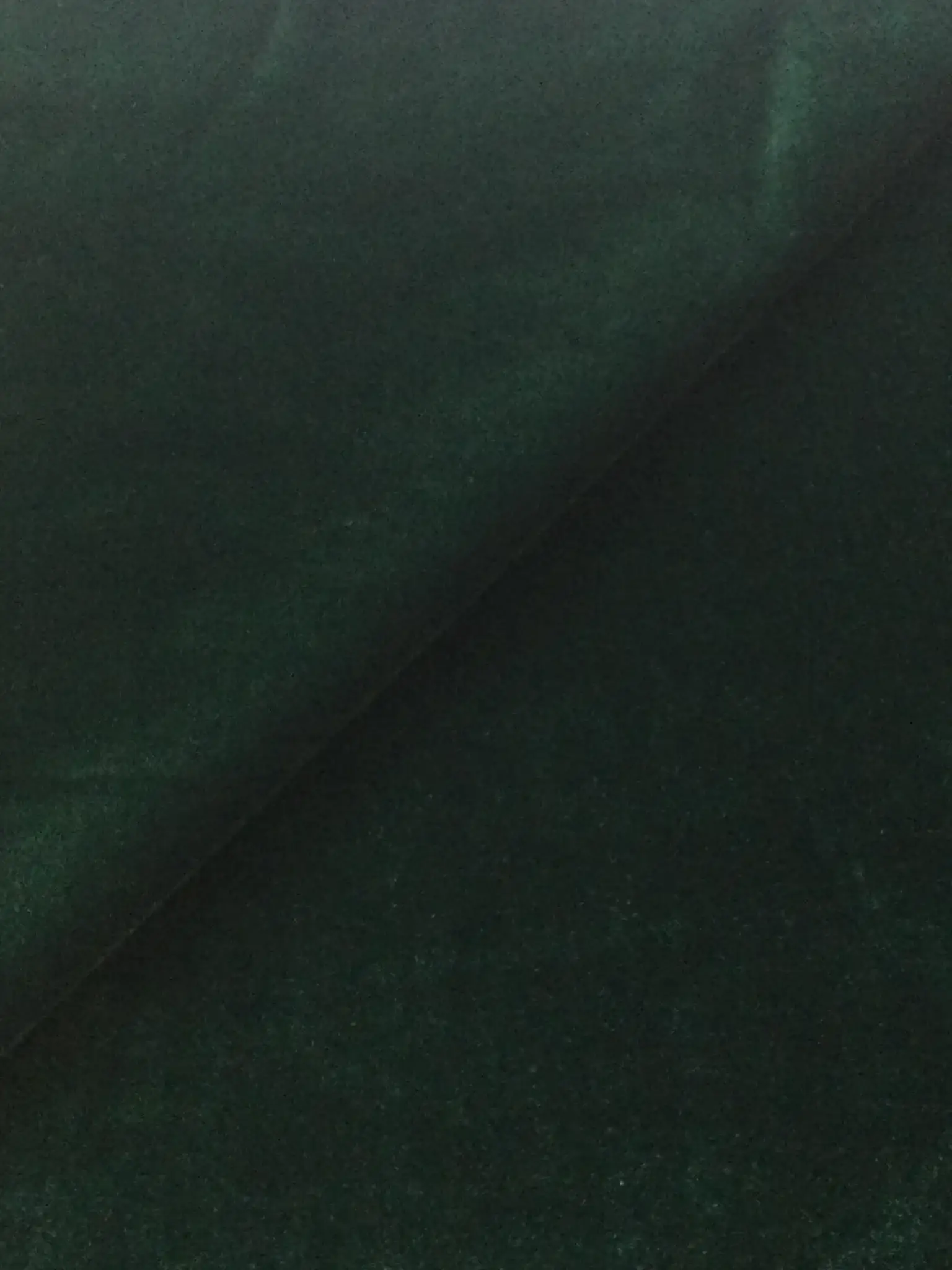Scnp Silk and Rayon Velvet in Hunter