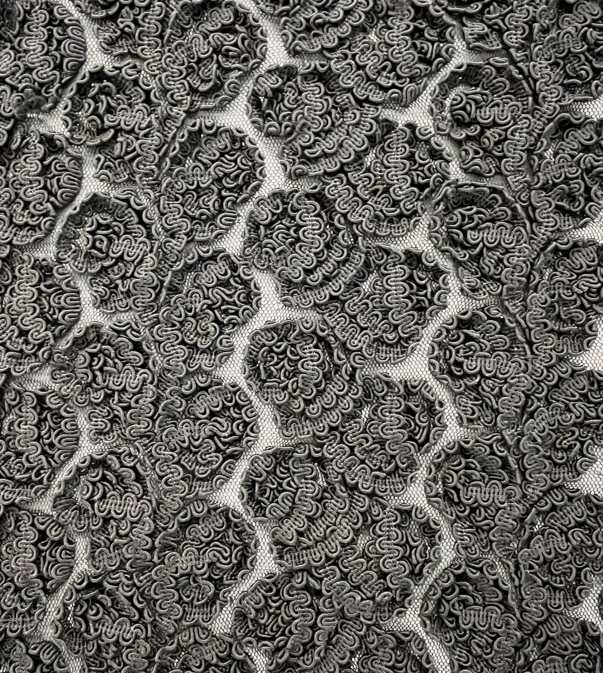 Embroidered Tulle with Rayon Corded Ribbon in Black