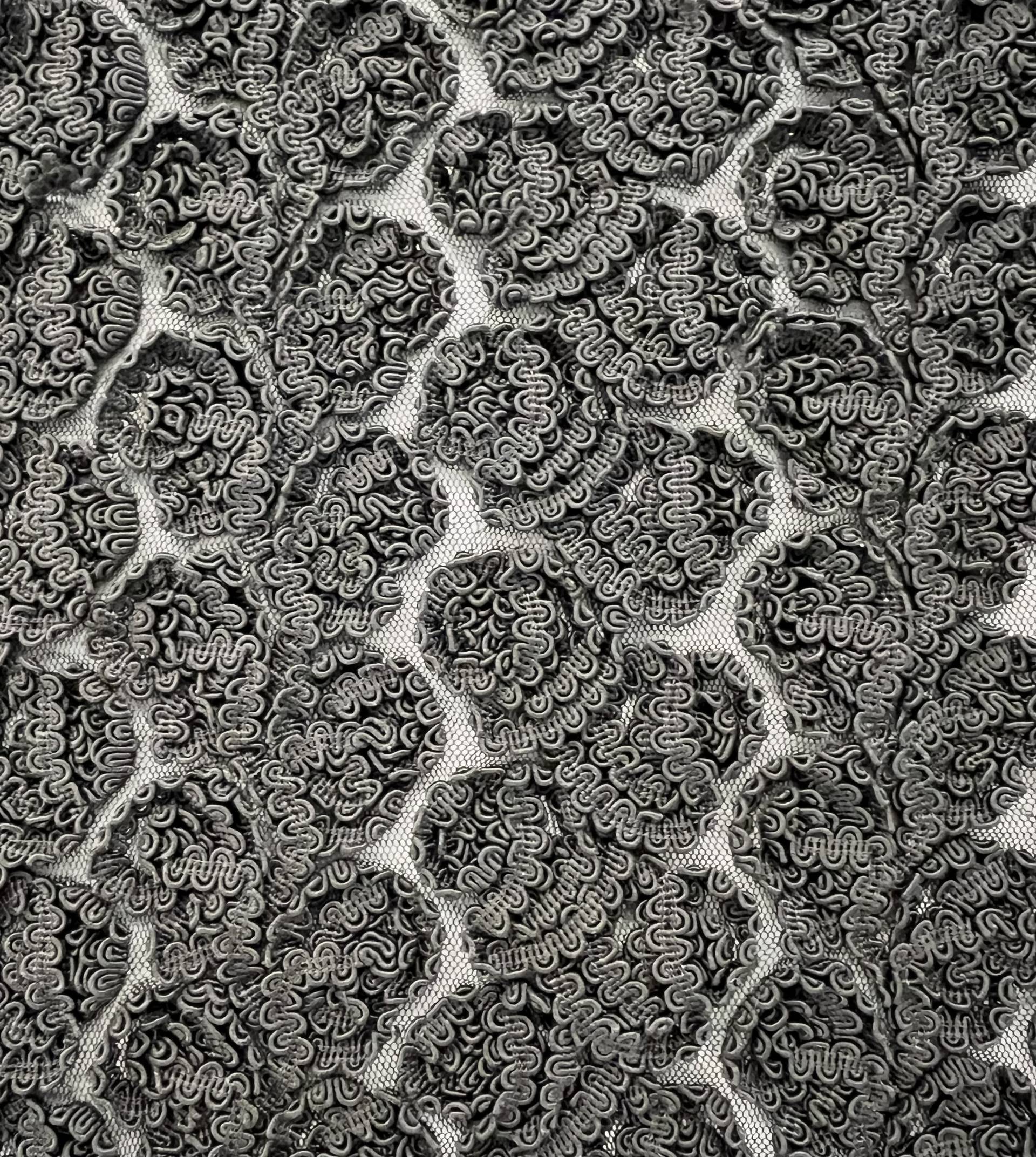 Embroidered Tulle with Rayon Corded Ribbon in Black