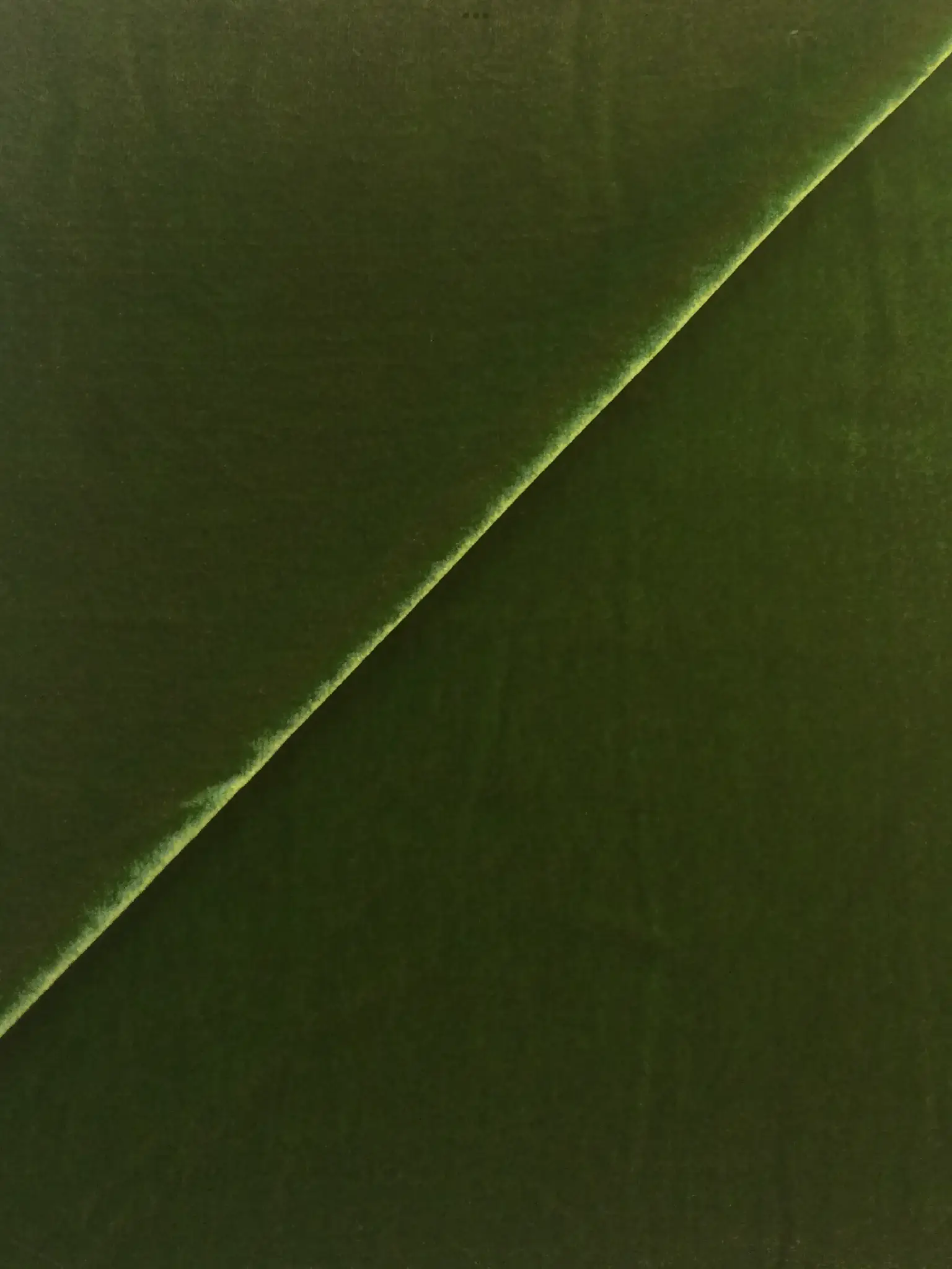 Luxury Silk-Rayon Velvet Candy Apple Green